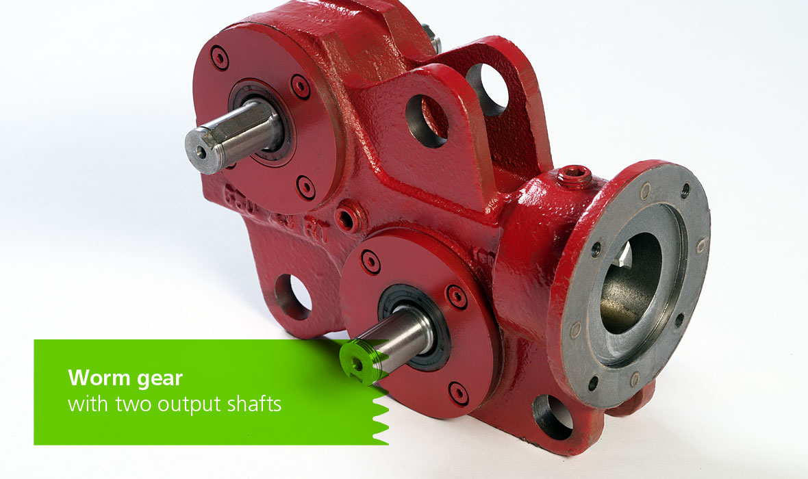 Worm gear with two output shafts