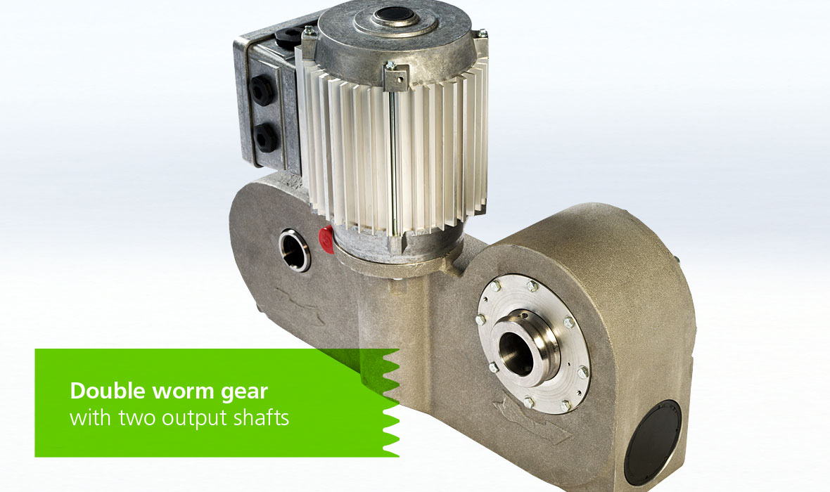 Double Worm gear with two output shafts