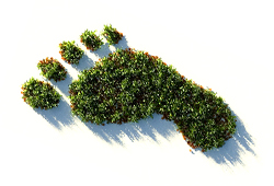 Betreuung einer Bachelorarbeit mit sehr gutem Abschluss!