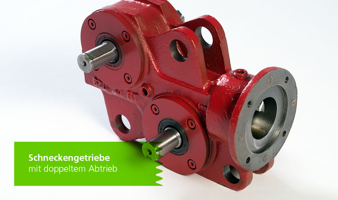 Schneckengetriebe mit doppeltem Abtrieb