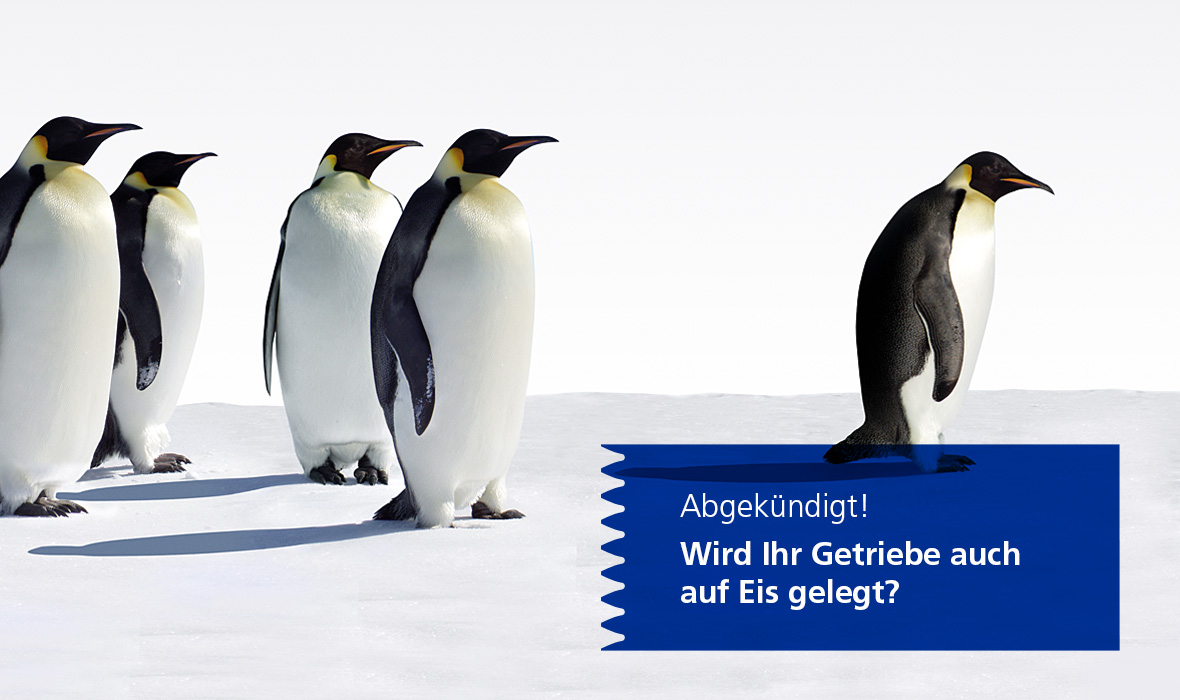 Modul-Schneckengetriebe