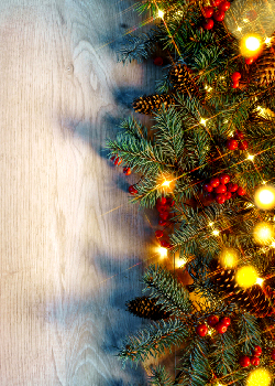 Bund - Freunde der Erde